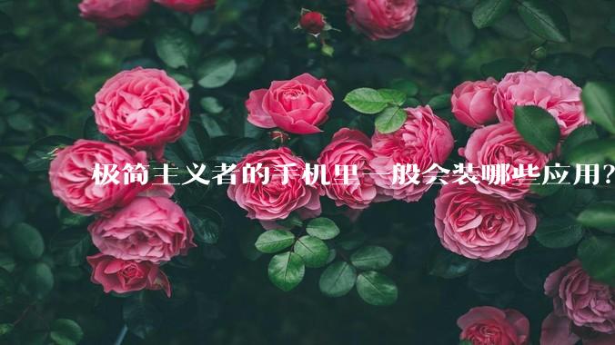 极简主义者的手机里一般会装哪些应用？