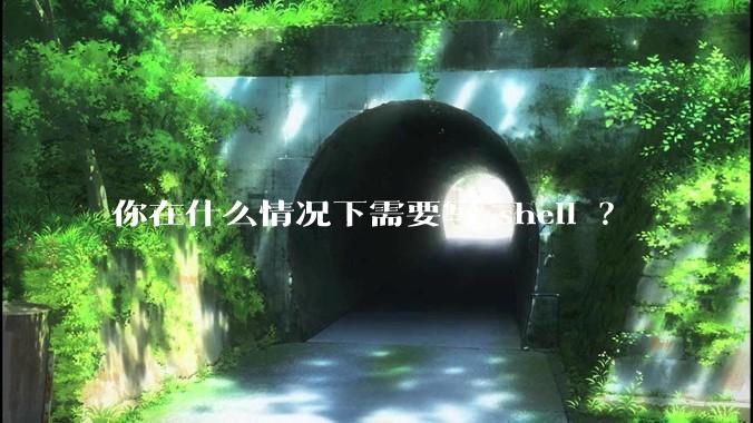 你在什么情况下需要写 shell ？