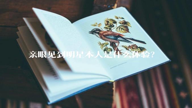 亲眼见到明星本人是什么体验？