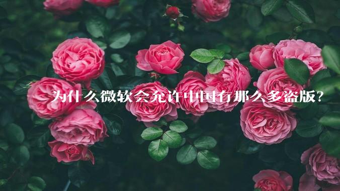 为什么微软会允许中国有那么多盗版？