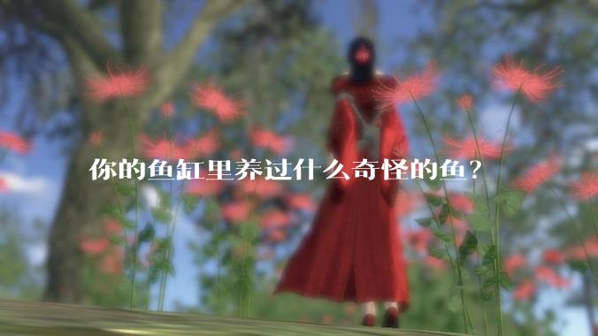 你的鱼缸里养过什么奇怪的鱼？