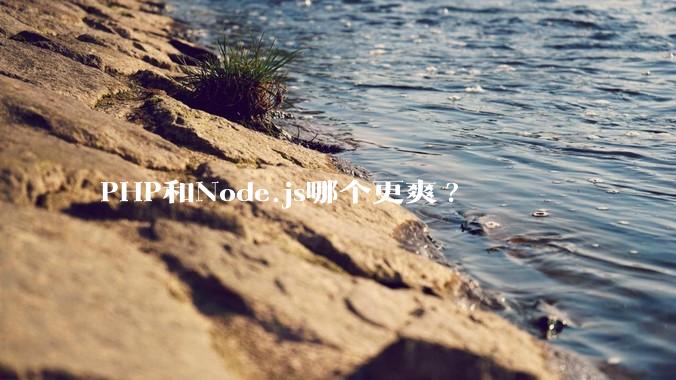 PHP和Node.js哪个更爽?