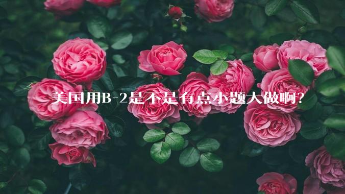 美国用B-2是不是有点小题大做啊？