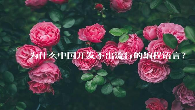 为什么中国开发不出流行的编程语言？