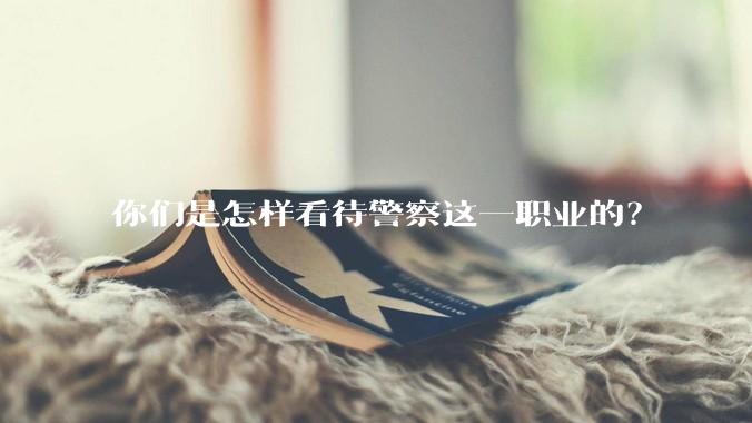 你们是怎样看待警察这一职业的？