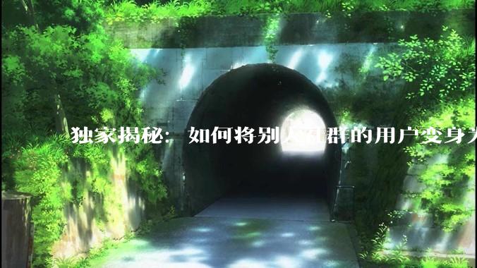 独家揭秘：如何将别人社群的用户变身为你的忠实粉丝！ - *
