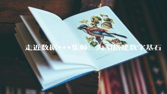 走近数据***集师：为AI搭建数字基石