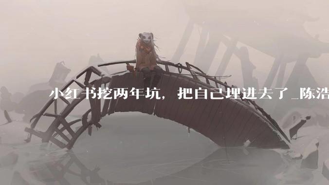 小红书挖两年坑，把自己埋进去了_陈浩_阿里_公司