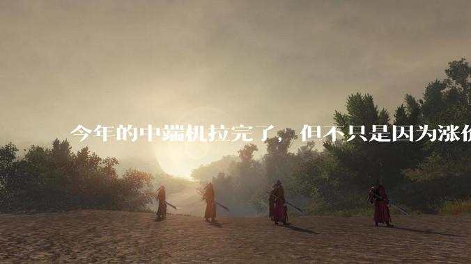 今年的中端机拉完了，但不只是因为涨价_配置_旗舰_Pro