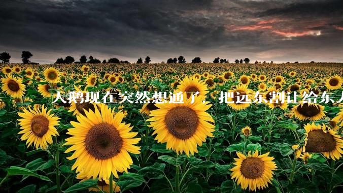 大鹅现在突然想通了，把远东割让给东大，会有什么后果？