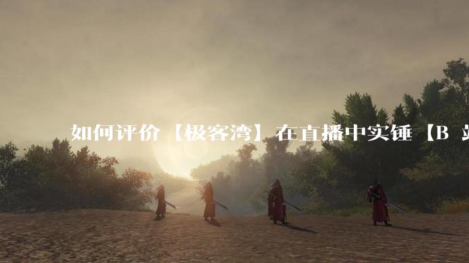 如何评价【极客湾】在直播中实锤【B 站不交保护费就限流】？