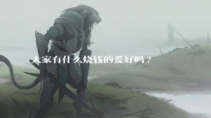 大家有什么烧钱的爱好吗?