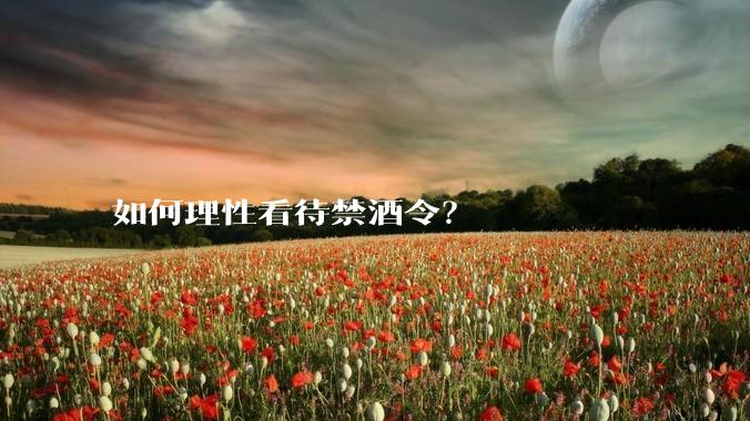 如何理性看待禁酒令？
