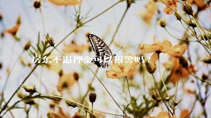 房东不退押金可以报警吗?