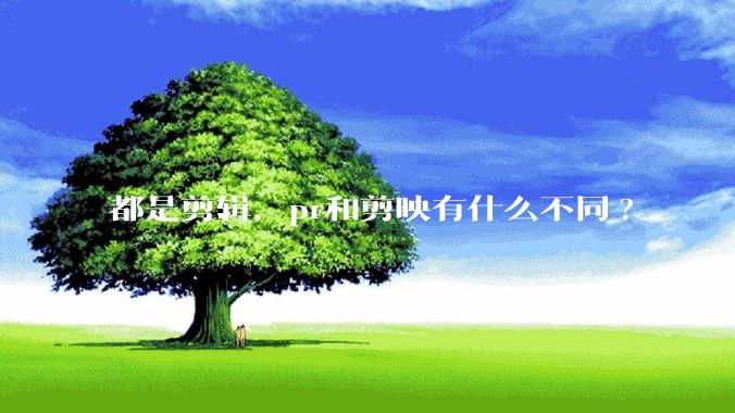 都是剪辑，pr和剪映有什么不同?
