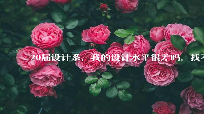 20届设计系，我的设计水平很差吗，找不到合适的工作?