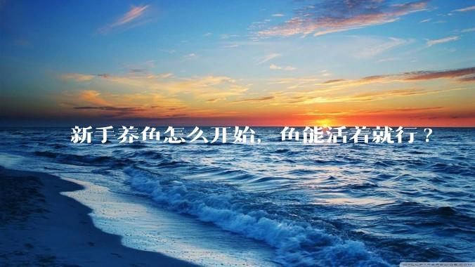 新手养鱼怎么开始，鱼能活着就行?